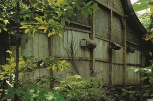 Ciekawostki z podróży pszczelarskich